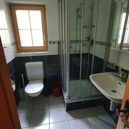 Les Hiboux تشامبوسين